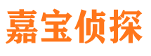 东洲市侦探公司